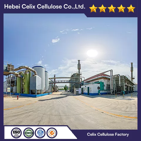 18 años de fábrica de Celix