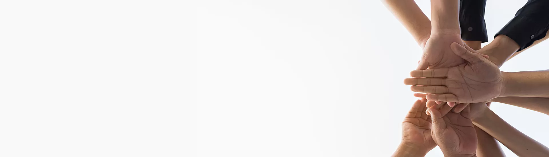 Programa de Asociación Global y Apoyo a Agentes: Construir un Futuro Sostenible con Celix