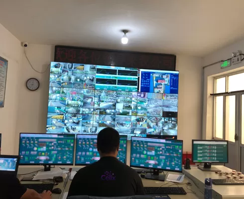 Cumplimiento de Reglamentos