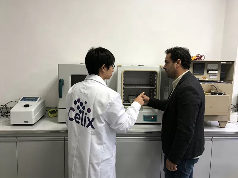 Soporte técnico en el sitio