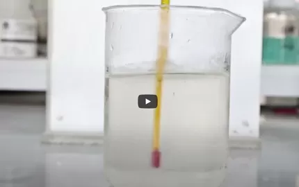 Vista rápida de Hebei Celix Celulosa Company