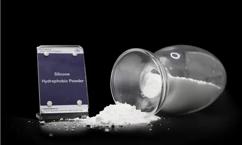 Polvo hidrófobo de silicona para usos