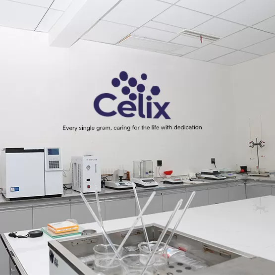 Experto técnico de Celix Cellulose verificando los datos del lote en un Certificado de Análisis (COA) para la exportación de HPMC