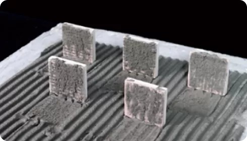 Prueba de tiempo abierto