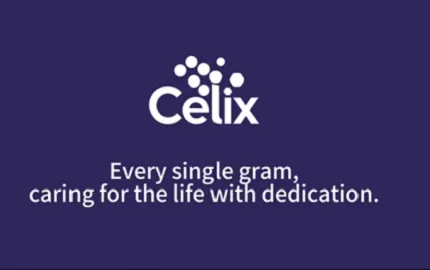 Por qué los proyectos de construcción globales confían en Celix